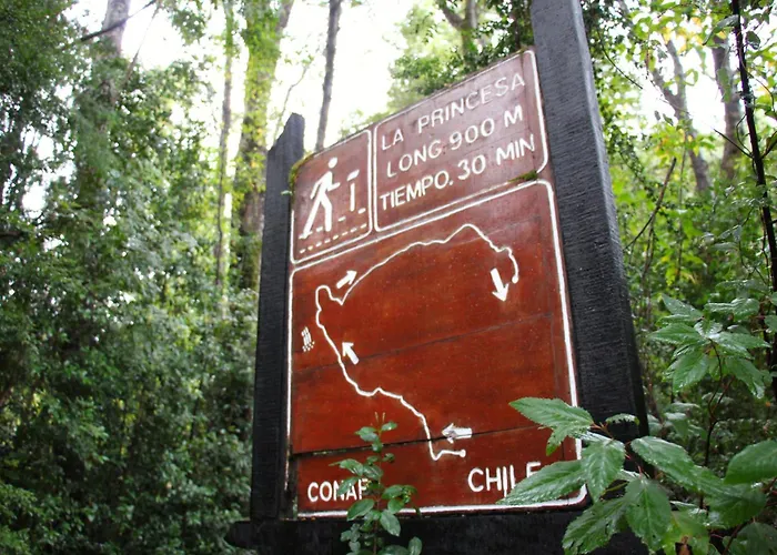Centro Turistico Anticura Parque Nacional Puyehue